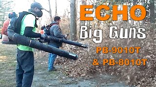 Leaf Removal - Fast & Efficient (21121401)