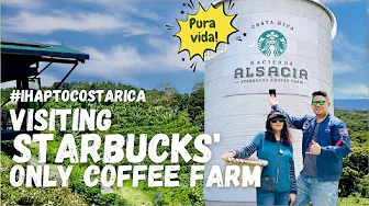 iHAP to Costa Rica's HACIENDA ALSACIA. STARBUCK's only Coffee Farm! (2022)