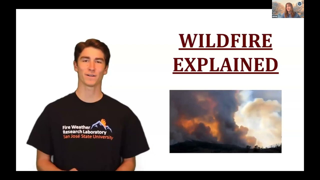 Overview of Wildfires in the Western United States