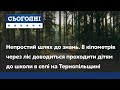 Непростий шлях до знань. 8 кілометрів через ліс доводиться проходити дітям до школи на Тернопільщині