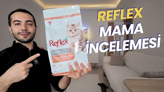 Reflex Kedi Maması İncelemesi (MAMA İNCELEME VE YORUMLARI) #reflexkedimaması by VOLİPET - Ali Aktas 4,284 views 2 months ago 10 minutes, 30 seconds
