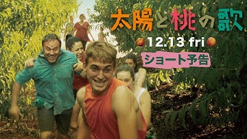 映画『太陽と桃の歌』ベルリン金獅子賞受賞作/ショート予告(12/13公開)