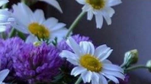 الصفحة(13) سورة البقرة بصوت القارئ عبد الله أحمد الخلف حفظه الله تعالى ...