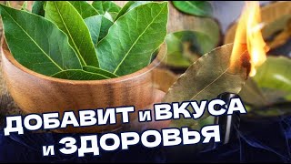 ЛАВРОВЫЙ ЛИСТ - Полезен и в бульоне и в Настое! А можно и пожевАть Целиком...