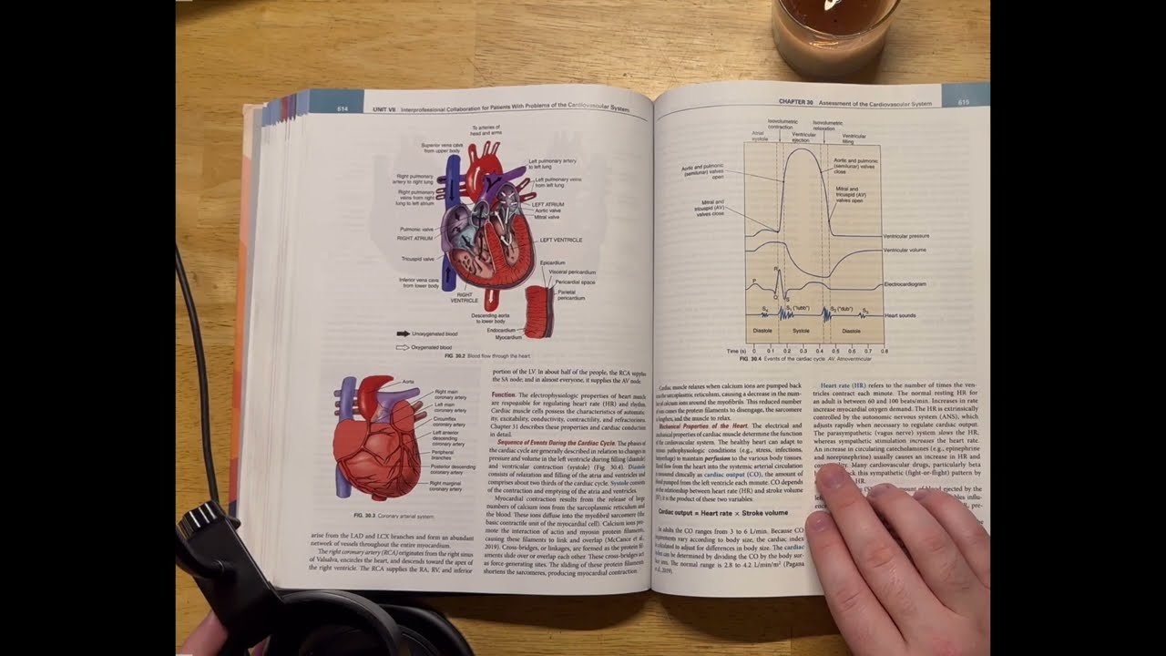 ASMR - Male Whispering - Reading About Cardiac Anatomy and Physiology
