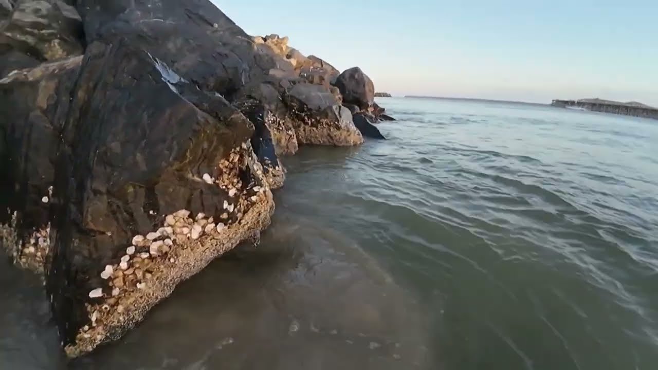 Coffs Harbour Jetty Beach, NSW, Australia, 2024