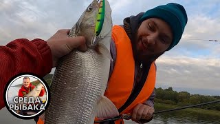 видео: РЫБАЛКА ТРОЛЛИНГОМ | ЖЕРЕХ , СУДАК и ЩУКА на реке! ОСЕННИЙ ЖОР картинка: РЫБАЛКА ТРОЛЛИНГОМ | ЖЕРЕХ , СУДАК и ЩУКА на реке! ОСЕННИЙ ЖОР