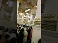 Crowd in riyaz ul jannah riyazuljannah madina shorts