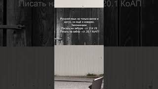 Законы надо соблюдать!#закон#смех#юмор
