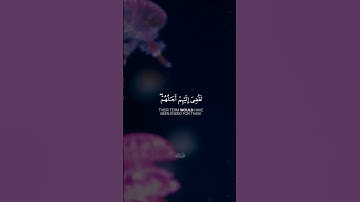 ســـــورة يونُس آية 11 | القارئ #ياسر_الدوسري