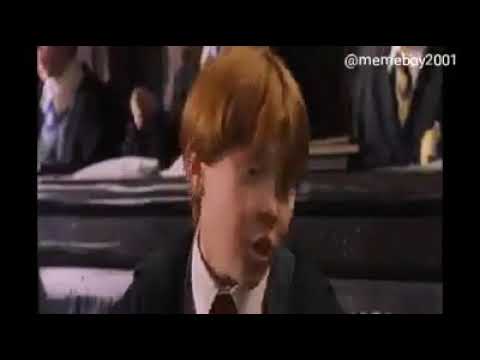 Harry potter meme (flute edition)