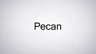 How to Pronounce Pecan