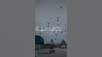 ان الله وملائكته يصلون على النبي|حالات واتس ||تلاوة هادئة|ارح قلبك|ستوريات قرآن|الجمعه|المسجد الاقصى