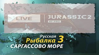 Русская Рыбалка 3.99 Саргассово море - стрим 2021.10.01/Jurassic2