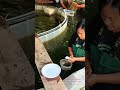 How to Count Fish Fry | Aquaculture Life Hack