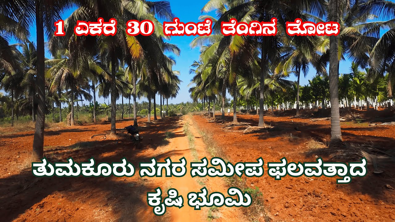 Tumkur City Near 1 Acre 30 Gunta Fertile Farm Land | ಅತ್ಯುತ್ತಮ ಹೂಡಿಕೆ ಅವಕಾಶ