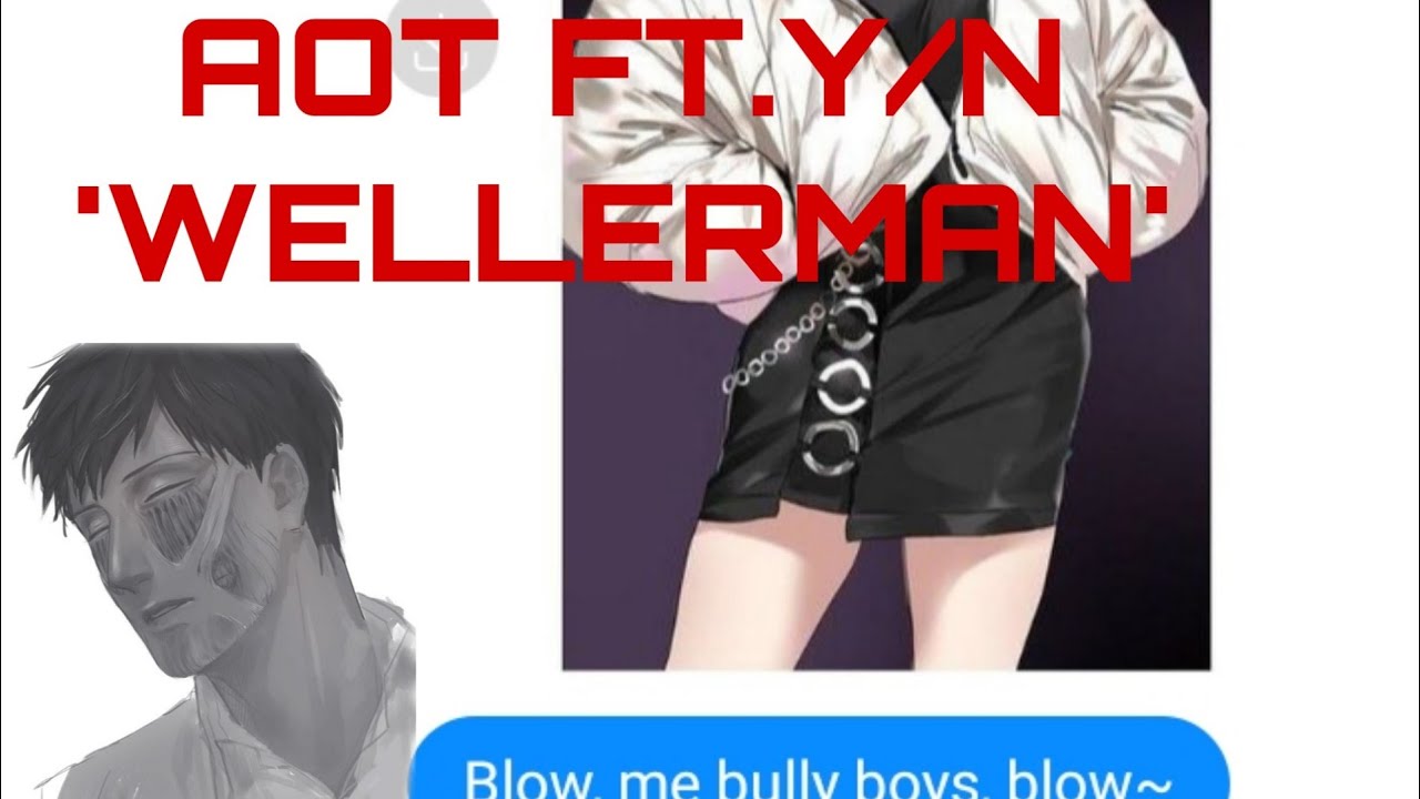 AOT FT. Y/N ( WELLERMAN )