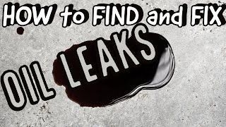 How to FIND and FIX an oil leak