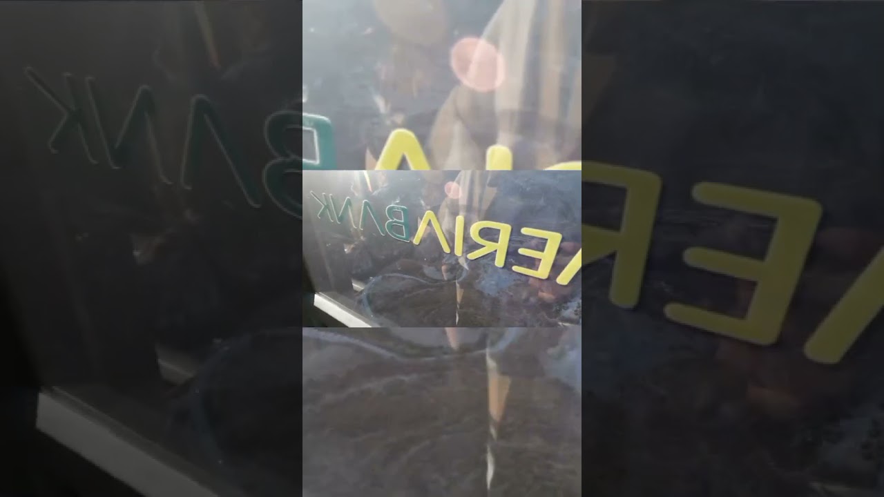 Nomad Shubham new vlog with his friends 