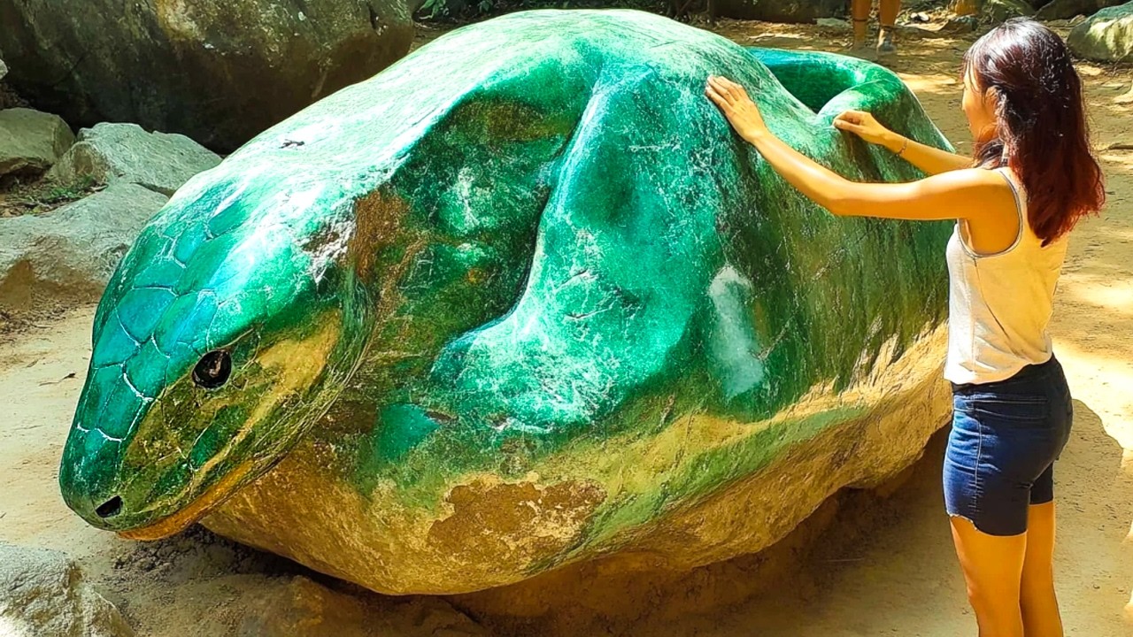 This Woman Found a Rare Gem While Digging In Her Backyard, But There's ...
