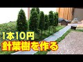 1本10円以下で針葉樹を作る‼️簡単・格安 ジオラマの木の作り方