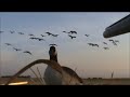 Waterfowl Hunting Recap 2013