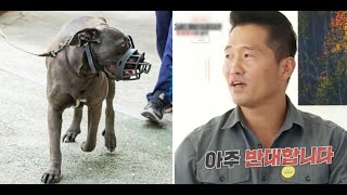 ‘개통령’ 강형욱 “중·대형견 입마개 의무화, 매우 반대” (영상)
