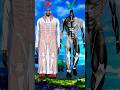 Chance of AOT Titans Deafening the Habibi Colossal Titan #anime #shorts