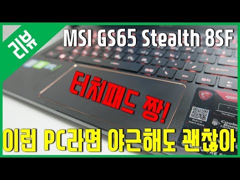 [리뷰] 크리에이터를 위한 노트북 - MSI GS65 Stealth 8SF SSD 256GB