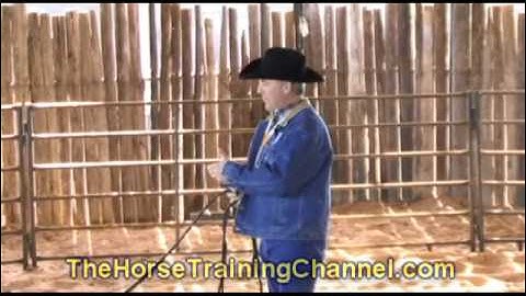 Champion Horse Training Tip #21: Encouragement To Stay In The Game, Start Early &  Use What You Have