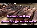 இந்த அரிய குணங்கள்தான் செம்மரம் பலகோடி விலைபோக காரணமாம் | Tamil Thagaval