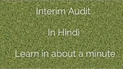 Interim  Audit | In Hindi