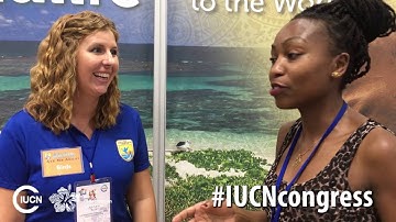 Bringing the beauty of nature to IUCN Congress delegates