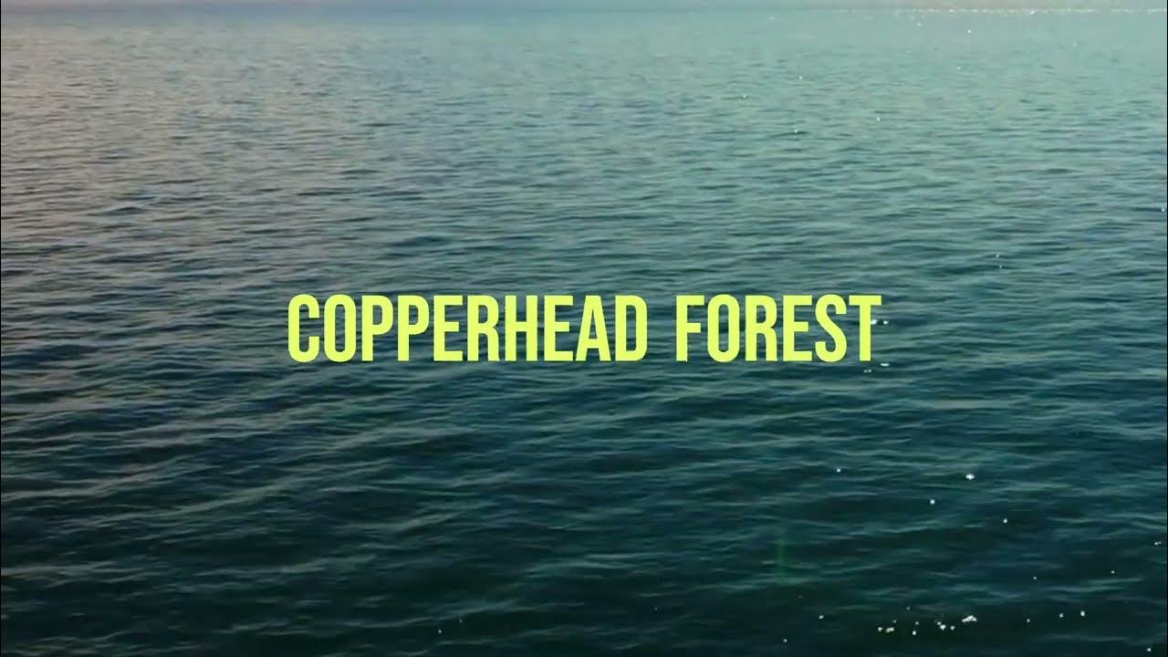 Snagging Paddlefish in Oklahoma (Surprise Catch at the end) YouTube