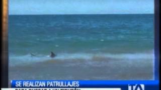 Supuesto tiburón en Santa Elena