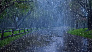 Addormentarsi in soli 3 minuti con forti Piogge, forti Venti sulla strada tranquilla nella foresta#2