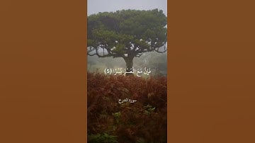 أَلَمْ نَشْرَحْ لَكَ صَدْرَكَ   سورة الشرح   علي جابر 2