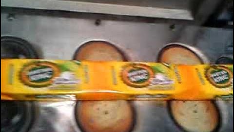 BFW -S1-Flow Wrap Machine