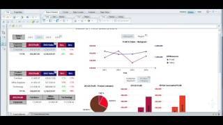 Web Intelligence 4 1 Dashboard demonstration