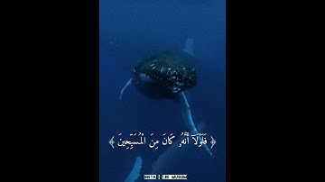 تلاوة سورة الصافات الاية 139-144 - عمير شميم #عمير_شميم #سورة_الصافات #القران_الكريم