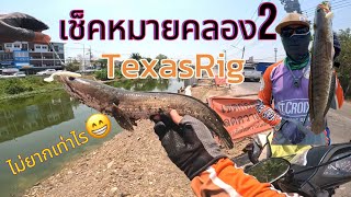 เช็คหมาย คลอง2 คลองหลวง ไม่ง่ายไม่ยาก #texasrig #ตกปลา