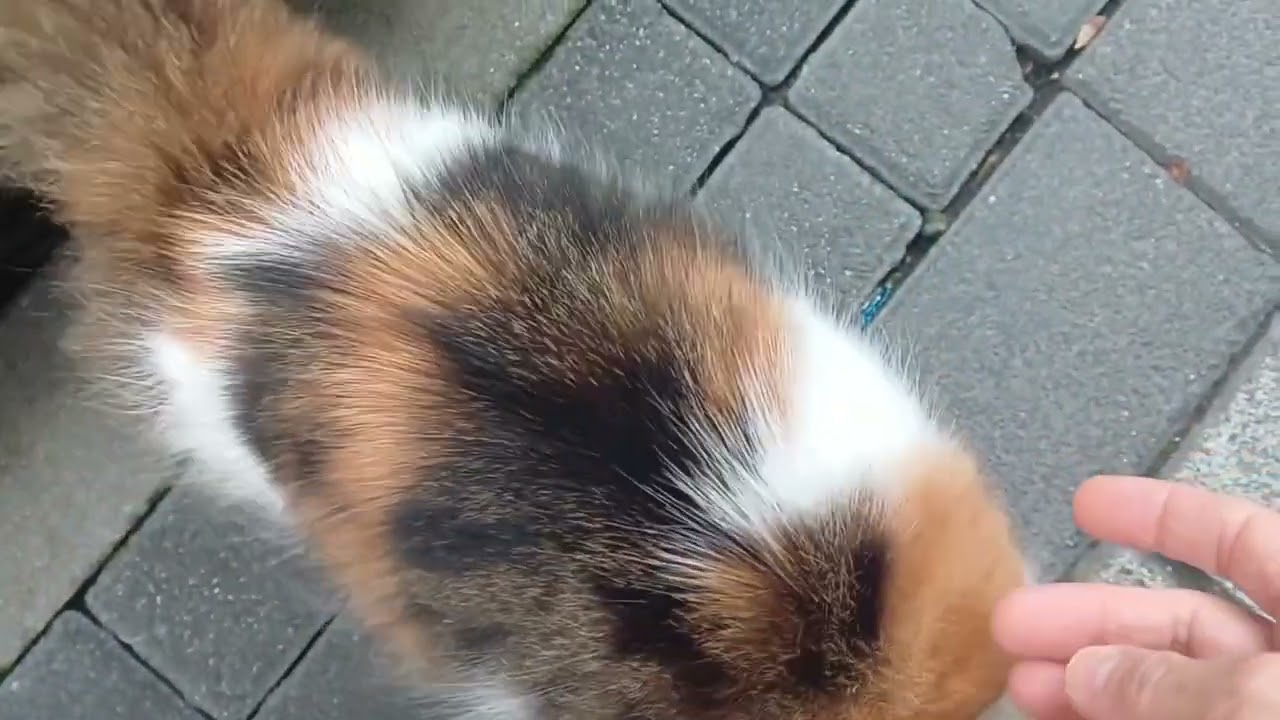 BUGÜN SARI OĞLUMUN ANNESİNİ GÖRDÜM