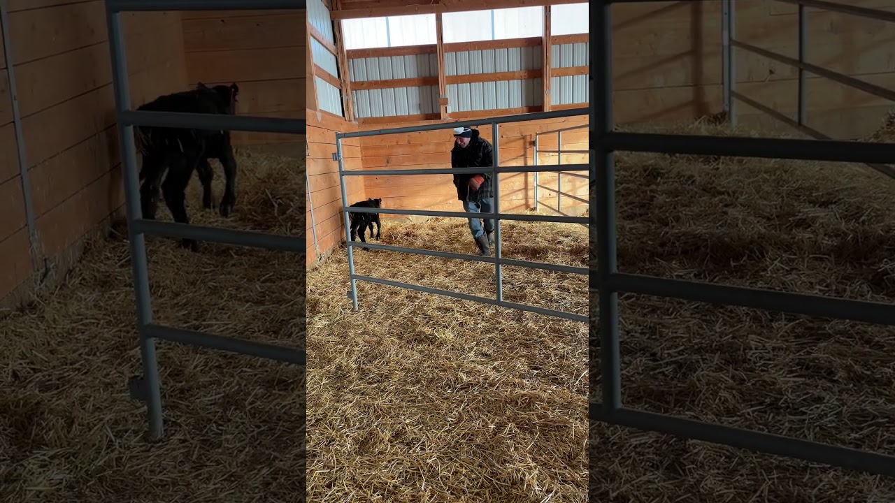 Let’s Play! ❤️ 