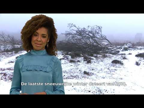 Video: Wat Zijn De Raadsels Over Winter En Sneeuw?
