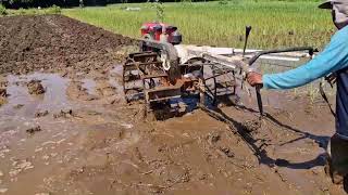 SMART FARMERS USE HEAVY MACHINES TO FIX FLOODED RICE FIELDS - Agriculture Farming