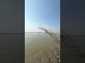 Amazing cast net fishing #viral #fishing #reels #fish #villagelife #foryou #amazing
