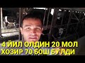 70 БОШ МОЛНИ ФОЙДАСИ ОЙИГА 500$  ИШЛАШ.