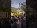 明日への手紙 / 手嶌葵 Covered By サックス侍(Sopranosax)鶴舞公園桜まつり2026。普選記念壇ステージにて、連日演奏しています。