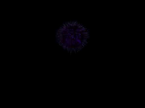 Chrysanthemum Fireworks of Processing (Generative Art Practice Video)