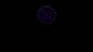Chrysanthemum Fireworks of Processing (Generative Art Practice Video)